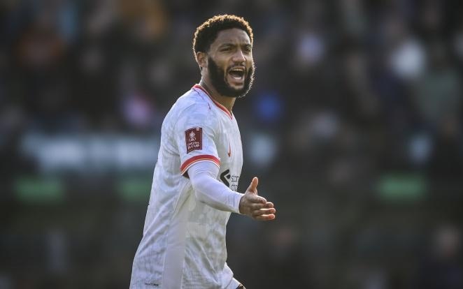 胜利的渴望 胜利的渴望