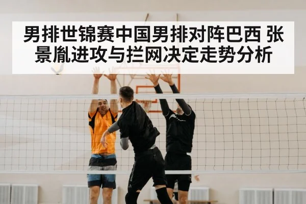 volleyball net block